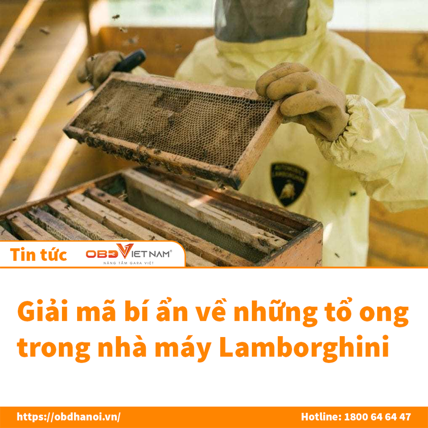 GIẢI MÃ BÍ ẨN VỀ NHỮNG TỔ ONG TRONG NHÀ MÁY LAMBORGHINI 14
