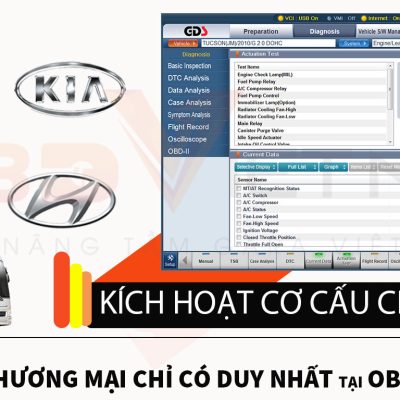 PHẦN MỀM GDS THƯƠNG MẠI 10 PHẦN MỀM GDS THƯƠNG MẠI 21