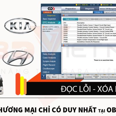 PHẦN MỀM GDS THƯƠNG MẠI 9 PHẦN MỀM GDS THƯƠNG MẠI 20