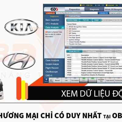 PHẦN MỀM GDS THƯƠNG MẠI 2 PHẦN MỀM GDS THƯƠNG MẠI 13